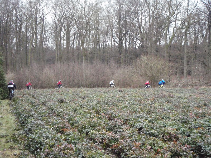 Waldtour 022